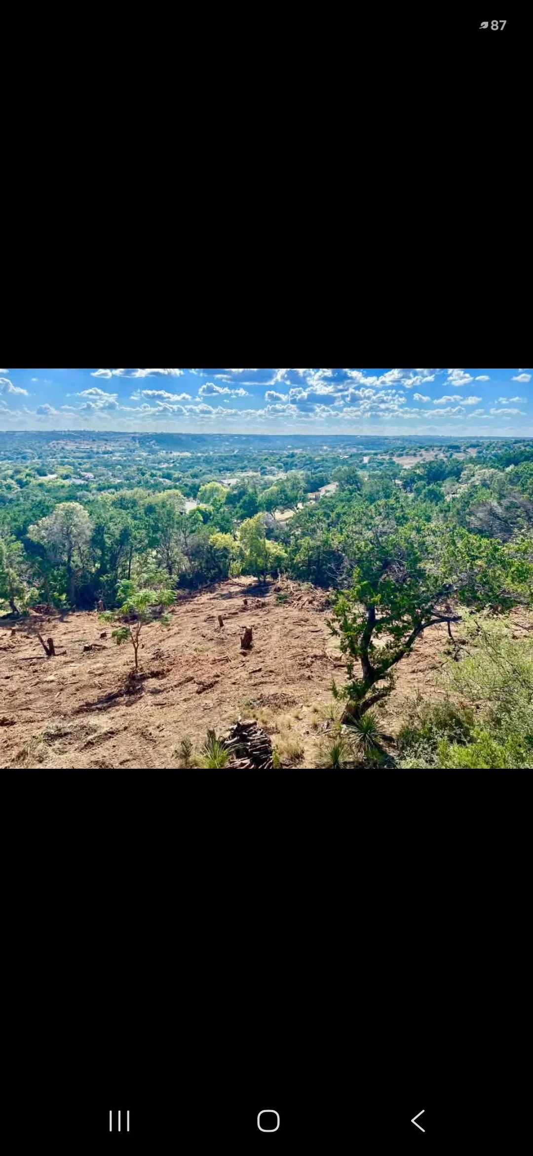 Cleared hillside with selective tree removal, graded soil, and preserved native vegetation on sloped terrain