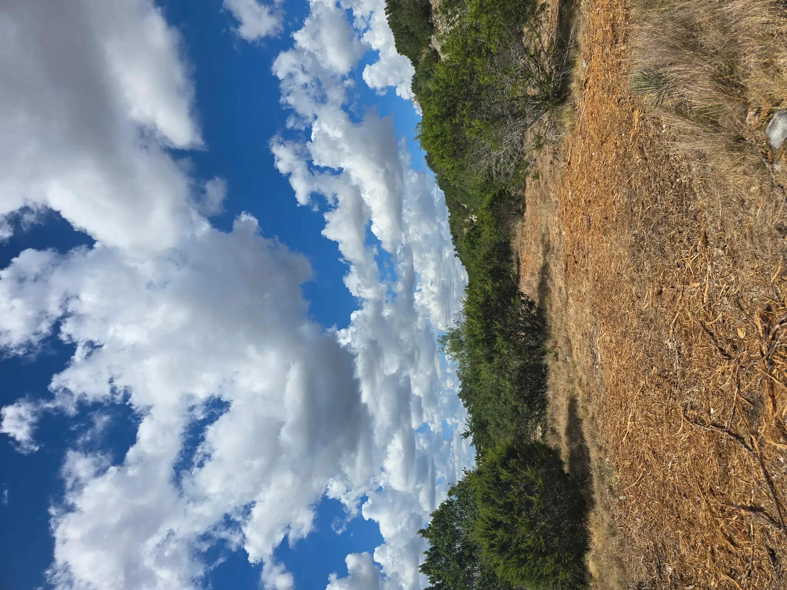 Cleared land with exposed soil and native vegetation border, ready for development